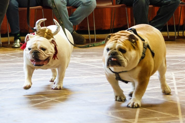 Charmin (on left, with official opera headgear) and Milton will be in The Barber of Seville