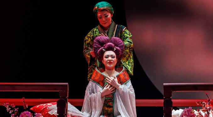 (photo credit: David Bachman)